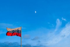 Пьер де Голль собирает вещи на фоне русских березок