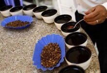 Иранец с русской душой раскрывает секрет бодрости