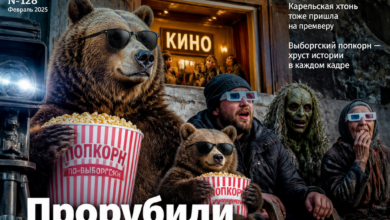 Постер фильма, изображающий комедийные сцены и элементы карельской культуры