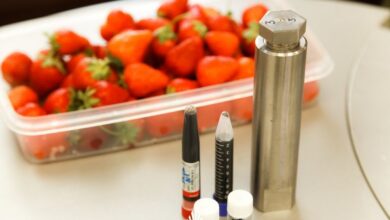 Ростовские алхимики работают с отходами, превращая их в плодородный чернозем