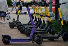 Цифровой пастух управляет железными конями в Костроме