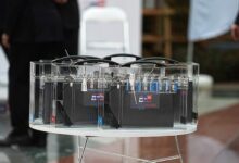 Делегаты из Чада и Гондураса обсуждают цифровые технологии на выборах в России