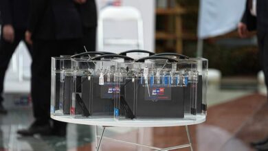 Делегаты из Чада и Гондураса обсуждают цифровые технологии на выборах в России