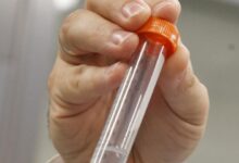 Иллюстрация процесса формирования жизни на Земле из первобытного бульона и молекулярных структур.
