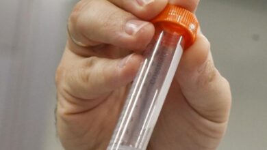 Иллюстрация процесса формирования жизни на Земле из первобытного бульона и молекулярных структур.