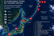 Изображение штурвала на фоне океана, символизирующее путешествие от Камчатки до Японии. 3