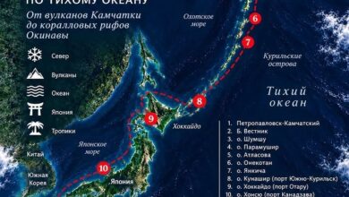 Изображение штурвала на фоне океана, символизирующее путешествие от Камчатки до Японии. 3