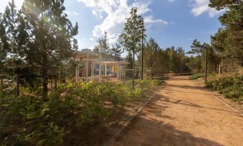 Пейзаж парка в Екатеринбурге, напоминающий Мальдивы, среди берез.